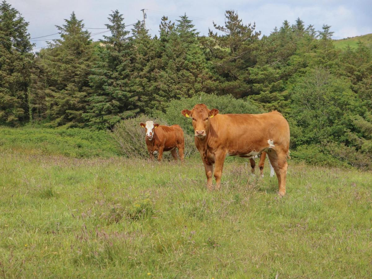 Dooneen Skibbereen Bagian luar foto